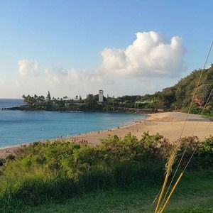 Meet your Posher, Verna